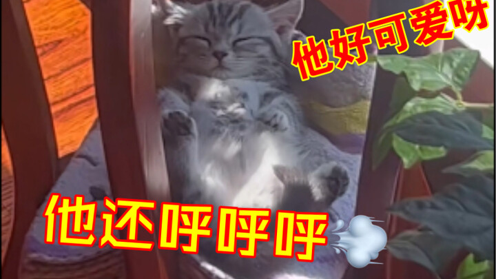 Sekarang aku ngerti kenapa orang tua langsung marah pas lihat aku pulang kerja [ngeloyor polos]