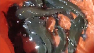 Nơi mà mọi ngư dân đều muốn đến!