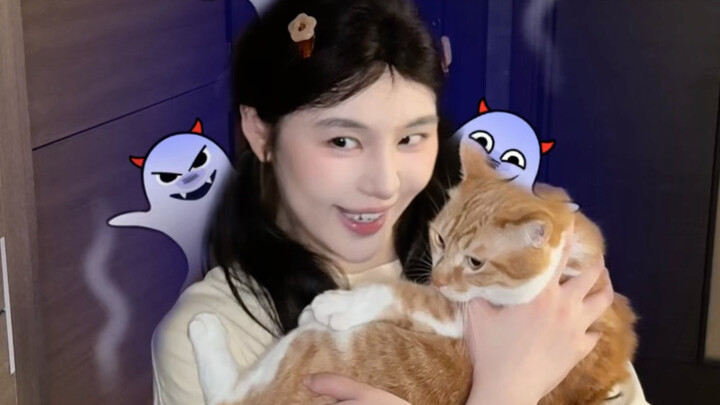 Uncle, I’ve found you (Inspiration: Happy Cat Mini-Show)