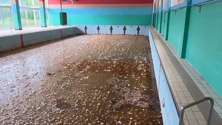 How Terrifying Is Stagnant Water, Really?