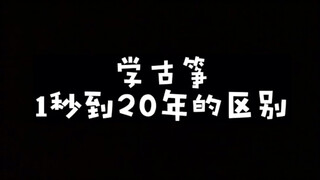 The Difference Between Learning the Guzheng for One Second and Twenty Years