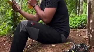 new