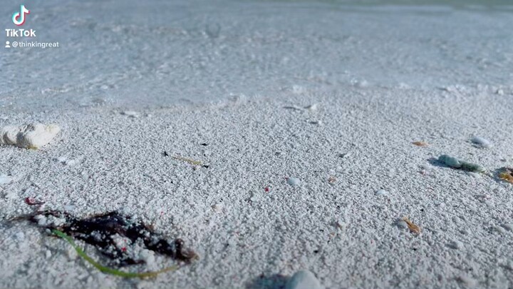 White sand beach, clear sea and sky🌊🌊🌊🌊🌊