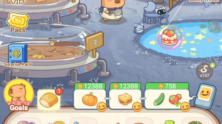 HappyCapy6 49