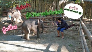 ตะวันไม่เล่นกับพ่อแล้วนู๋เหนื่อย😴🤷‍♂️เวลาพ่อจะเล่นด้วยก็เล่นตัวอีก