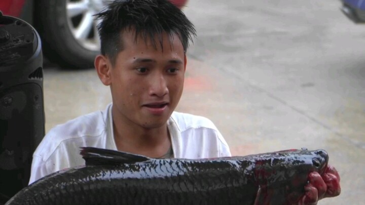 Seekor ikan bream besar dari waduk liar seberat lebih dari sepuluh kilogram, di dalamnya terdapat se