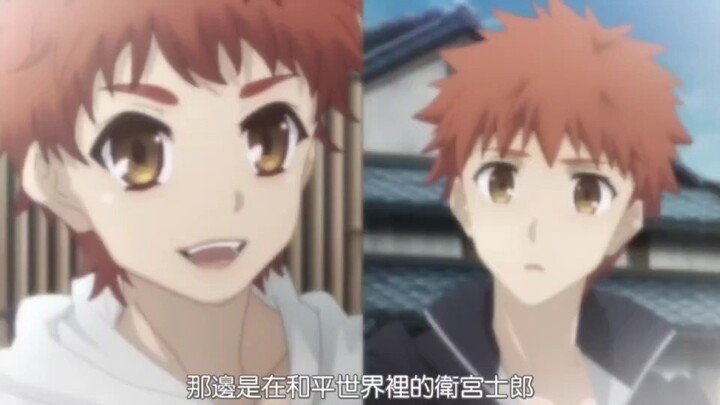 两个不同样貌的士郎，一个人生赢家，一个惨不忍睹