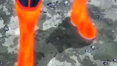 Shoto vs Dabi😯