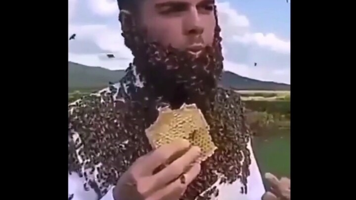 【Amazing Videos】Stealing Your "Wocao" in 20 Seconds