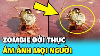 💥Phát hiện ZOMBIE ngoài đời thực gây HOANG MANG cư dân mạng | TIN GIẢI TRÍ