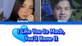 Aeterna Ft. Mic Marcel Cover Lagu Ysabelle Cuevas - I Like You So Much [ Jaya Esport ]