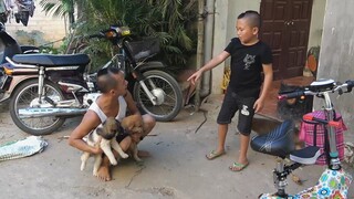 Trứng Đà Điểu - Pha Troll Mao Đệ Không Nhịn Được Cười