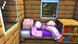 Animasi Minecraft (Tidur siang)