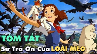 Tóm Tắt phim Anime Hay :  Sự Trả Ơn Của Loài Mèo  ✅ Kyty Anime