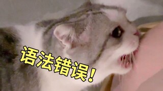 人学猫叫，猫着急地咬了一口