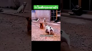 ว่าไงเด็กๆจะเอาเป่า