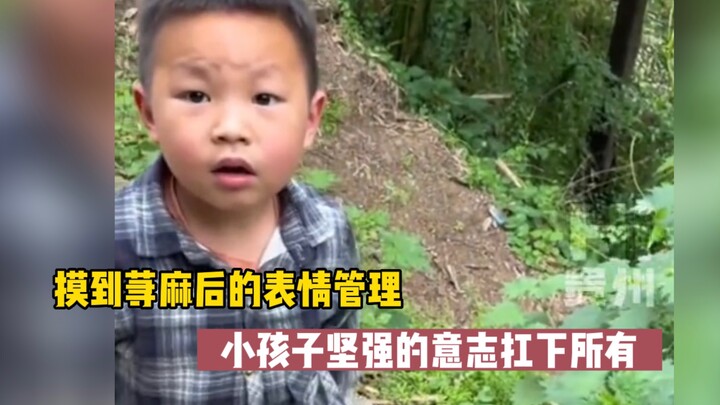 Touching the nettle and keeping a poker face—this little kid’s strong will lets them endure it all.