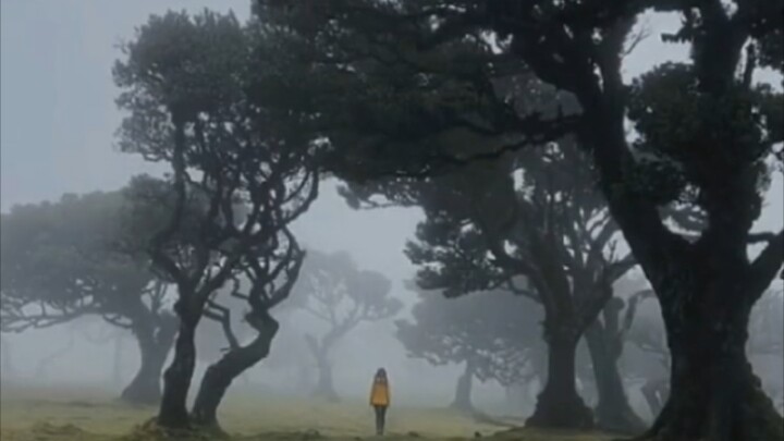 คนที่จิตวิญญาณคล้ายกันเท่านั้นถึงจะชอบบรรยากาศแบบนี้ได้