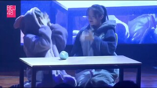 【狗毛】【BEJ48】20191231 《跨年联合公演》九十九次我爱他