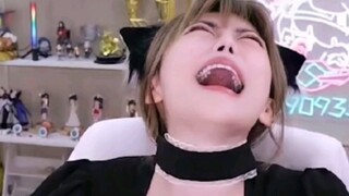 Pineapple Saidong: The licking dog is finally going to counterattack, Bobo can't do without me