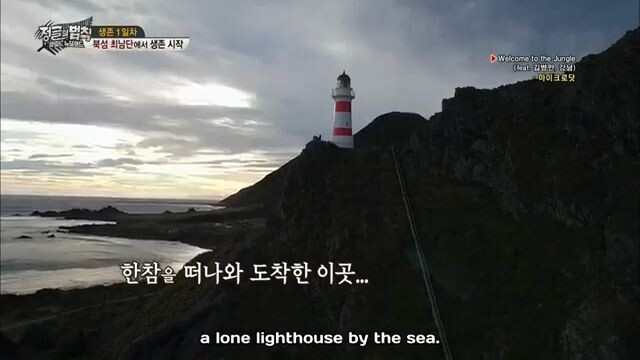 E265 Law of Jungle - New Zealand