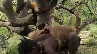 第一视角感受非洲原始部落生活，代入感很强，我感觉自己已经在掏蜂蜜了...