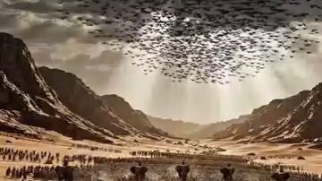 ইসলামিক ভিডিও ট্রাফিক