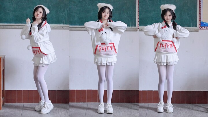 กิวๆๆ ลูกสุนัขสีแดง~