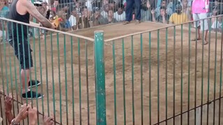 5k