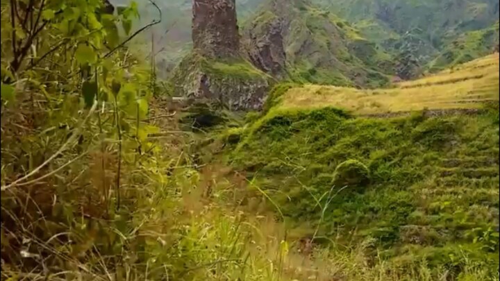 อินเดีย