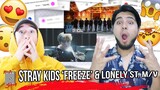 Stray Kids "FREEZE 땡" + "Lonely St." Videos | REACTION