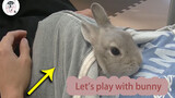 Bé thỏ: Tôi không còn sạch sẽ nữa rồi!!!