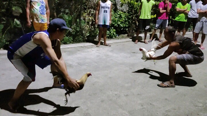 Sinibalang vs Talisay 🐓