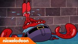 SpongeBob Schwammkopf | Mr. Krabsâ€˜ seltsame Sucht! | Nickelodeon Deutschland