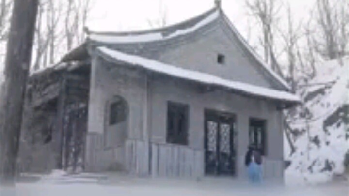 117. She Sold Ancient Weeds for Modern Fortunes. Then Bought Food and Freedom.!