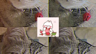 น่ารักไมงับบ