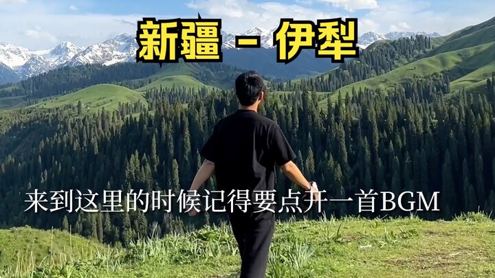 6月的新疆，会治愈每个来到这里的白日梦想家。