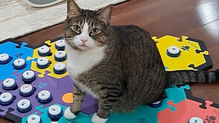 Xiaofu seperti mesin yang hanya bisa menjalankan perintah ibunya.