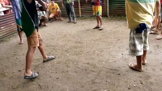 8 months old two times winner ptay  Din sa second win nia