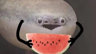 特摄人的消费观念