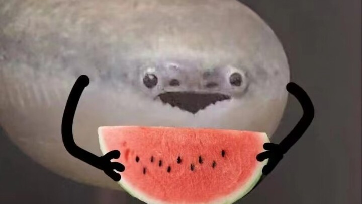 特摄人的消费观念