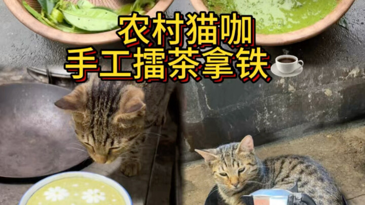 Quán cà phê mèo ở nông thôn, latte trà giã thủ công