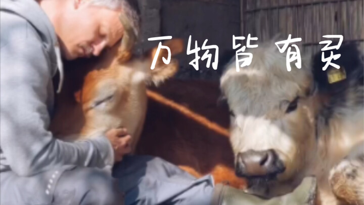 All things have a spirit.