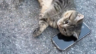 إنها تستلقي على هاتفي، إنها حقًا قريبة جدًا مني