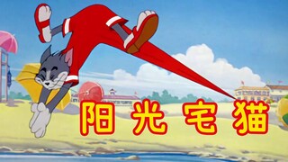 阳 光 宅 猫