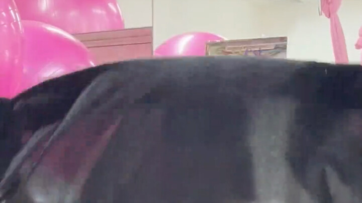 จะแสดงมายากลที่เพิ่งหัดใหม่ให้ดูกัน!