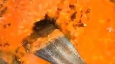 tumis tahu
