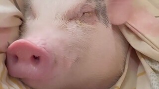 So much like your girlfriend!