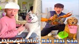 Thú Cưng TV | Dương KC Pets | Gia Đình Gâu Đần #14 | Chó thông minh vui nhộn | funny cute smart dog