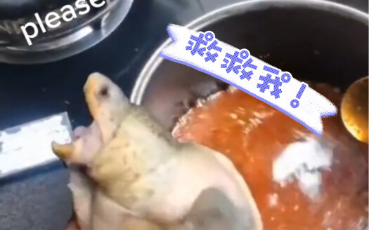 Ah! So scary, so scary!